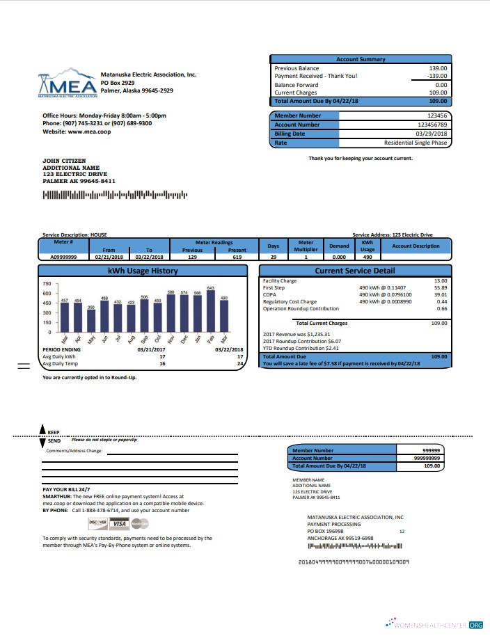 download download USA MEA Alaska electricity utility bill template in Word and PDF format PDF template PDF template